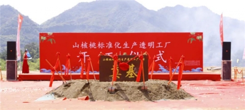 【一线投影】临安区年产10000吨山核桃标准化生产透明工厂项目开工！